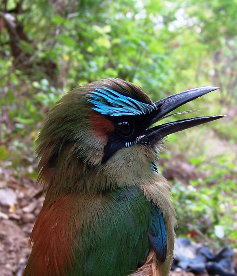 nature photography Nicaragua